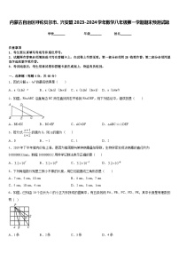 内蒙古自治区呼伦贝尔市、兴安盟2023-2024学年数学八年级第一学期期末预测试题含答案