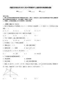 内蒙古牙克石市2023-2024学年数学八上期末综合测试模拟试题含答案