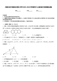 内蒙古翁牛特旗乌丹第六中学2023-2024学年数学八上期末复习检测模拟试题含答案