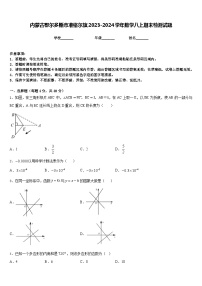 内蒙古鄂尔多斯市准格尔旗2023-2024学年数学八上期末检测试题含答案