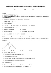 内蒙古自治区呼和浩特市回民区2023-2024学年八上数学期末联考试题含答案