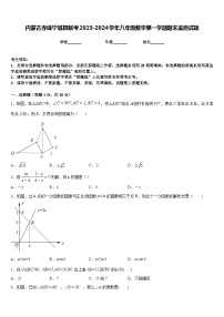 内蒙古赤峰宁城县联考2023-2024学年八年级数学第一学期期末监测试题含答案