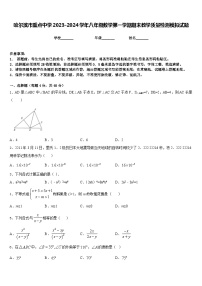 哈尔滨市重点中学2023-2024学年八年级数学第一学期期末教学质量检测模拟试题含答案