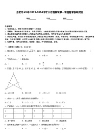 合肥市45中2023-2024学年八年级数学第一学期期末联考试题含答案