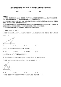 吉林省辉南县第四中学2023-2024学年八上数学期末统考试题含答案