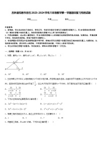 吉林省松原市名校2023-2024学年八年级数学第一学期期末复习检测试题含答案