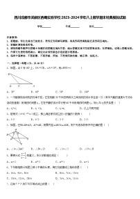 四川成都市武侯区西蜀实验学校2023-2024学年八上数学期末经典模拟试题含答案