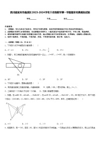 四川省宜宾市南溪区2023-2024学年八年级数学第一学期期末经典模拟试题含答案