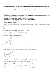 四川省成都市高新区2023-2024学年八年级数学第一学期期末教学质量检测试题含答案