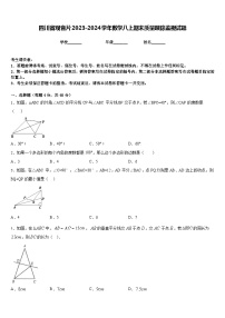 四川省观音片2023-2024学年数学八上期末质量跟踪监视试题含答案