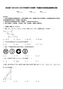 四川省广元市2023-2024学年数学八年级第一学期期末质量跟踪监视模拟试题含答案