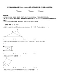 四川省绵阳市南山中学2023-2024学年八年级数学第一学期期末检测试题含答案