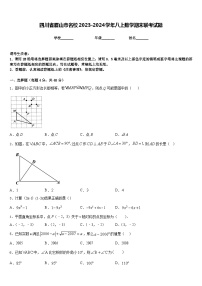 四川省眉山市名校2023-2024学年八上数学期末联考试题含答案