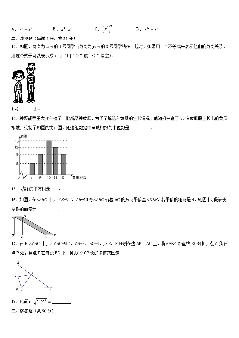 四川省射洪市2023-2024学年八年级数学第一学期期末综合测试模拟试题含答案03