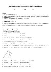 四川省泸州市江阳区2023-2024学年数学八上期末经典试题含答案