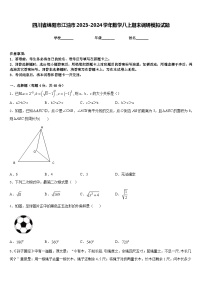 四川省绵阳市江油市2023-2024学年数学八上期末调研模拟试题含答案