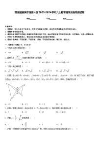 四川省宜宾市观音片区2023-2024学年八上数学期末达标检测试题含答案