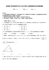 四川省广安市友谊中学2023-2024学年八上数学期末学业水平测试试题含答案