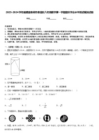 2023-2024学年福建省泉州市泉港区八年级数学第一学期期末学业水平测试模拟试题含答案