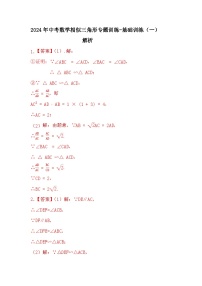 2024年中考数学相似三角形专题训练-基础训练（一）（解析）