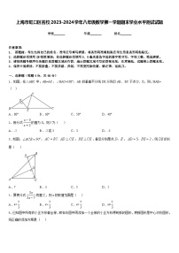 上海市虹口区名校2023-2024学年八年级数学第一学期期末学业水平测试试题含答案