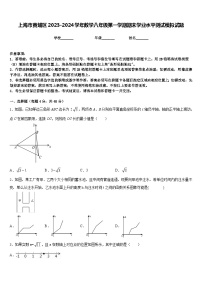 上海市黄埔区2023-2024学年数学八年级第一学期期末学业水平测试模拟试题含答案