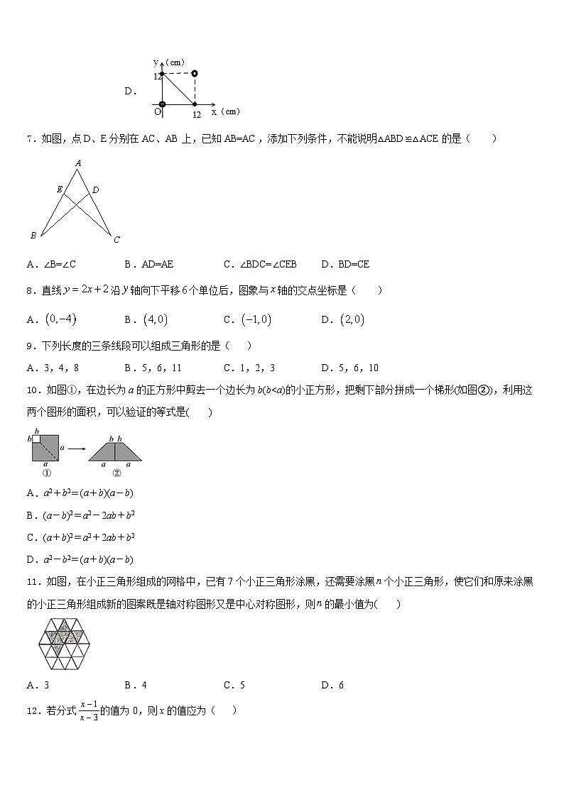 北京师范大学附属中学2023-2024学年八上数学期末学业水平测试试题含答案02