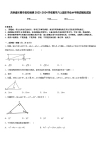 吉林省长春市名校调研2023-2024学年数学八上期末学业水平测试模拟试题含答案