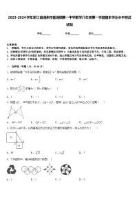 2023-2024学年浙江省湖州市菱湖镇第一中学数学八年级第一学期期末学业水平测试试题含答案