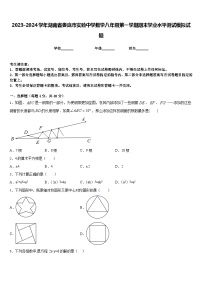 2023-2024学年湖南省娄底市实验中学数学八年级第一学期期末学业水平测试模拟试题含答案