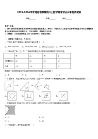 2023-2024学年湖南省茶陵县八上数学期末学业水平测试试题含答案