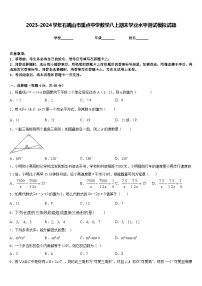 2023-2024学年石嘴山市重点中学数学八上期末学业水平测试模拟试题含答案