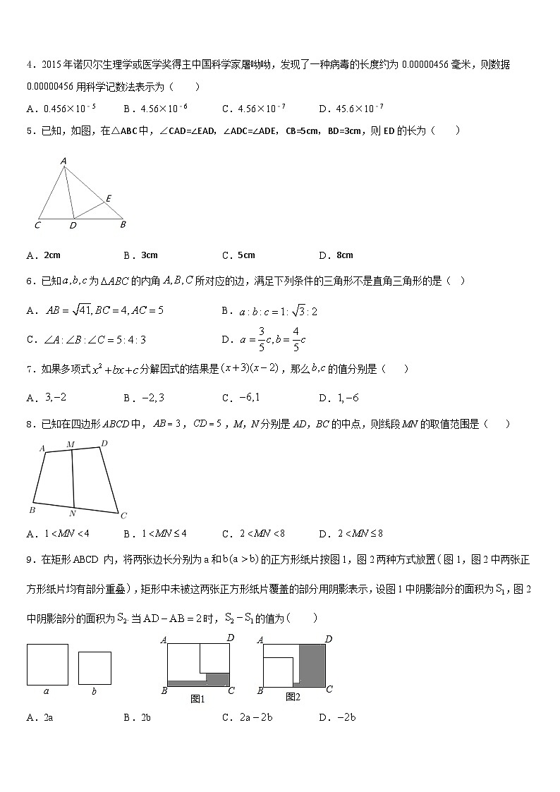 2023-2024学年安徽省合肥市巢湖第三中学数学八年级第一学期期末学业水平测试试题含答案02