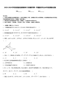 2023-2024学年安徽省芜湖县联考八年级数学第一学期期末学业水平测试模拟试题含答案