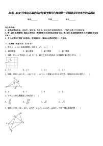 2023-2024学年山东省青岛六校联考数学八年级第一学期期末学业水平测试试题含答案