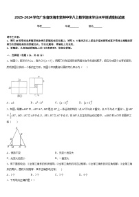 2023-2024学年广东省珠海市紫荆中学八上数学期末学业水平测试模拟试题含答案