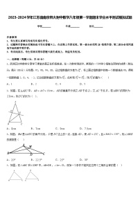 2023-2024学年江苏省南京师大附中数学八年级第一学期期末学业水平测试模拟试题含答案