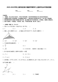 2023-2024学年上海市民办张江集团中学数学八上期末学业水平测试试题含答案