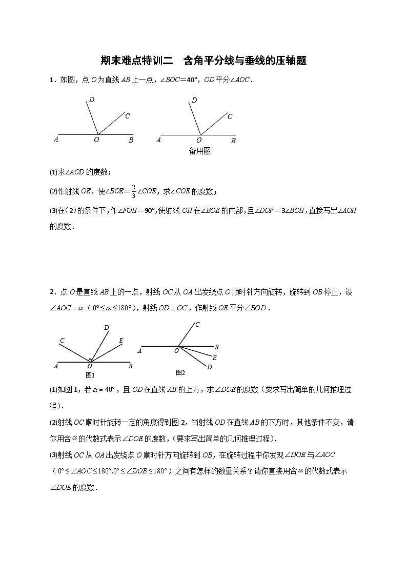 苏科版七年级数学上册常考题提分精练  期末难点特训（二）含角平分线与垂线的压轴题（原卷版）01