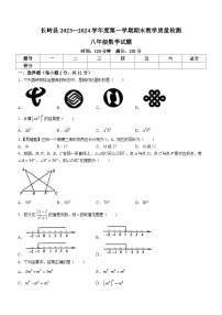 吉林省松原市长岭县2023-2024学年八年级上学期期末数学试题