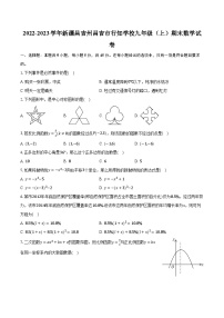 2022-2023学年新疆昌吉州昌吉市行知学校九年级（上）期末数学试卷（含解析）