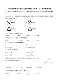 2022-2023学年内蒙古乌海市海南区八年级（上）期末数学试卷（含解析）