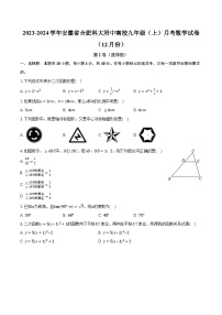 2023-2024学年安徽省合肥科大附中南校九年级（上）月考数学试卷（12月份）(含解析）