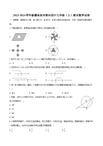 2023-2024学年新疆昌吉州奇台四中九年级（上）期末数学试卷(含解析）