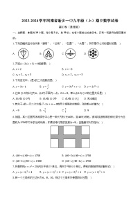 2023-2024学年河南省新乡一中九年级（上）期中数学试卷(含解析）