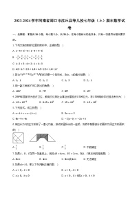 2023-2024学年河南省周口市沈丘县等几校七年级（上）期末数学试卷(含解析）