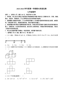 广东省揭阳市惠来县2023-2024学年七年级上学期期末数学试题