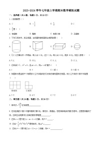 江苏省泰州市姜堰区+2023-2024学年七年级上学期期末数学模拟试题