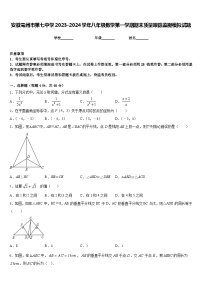 安徽亳州市第七中学2023-2024学年八年级数学第一学期期末质量跟踪监视模拟试题含答案