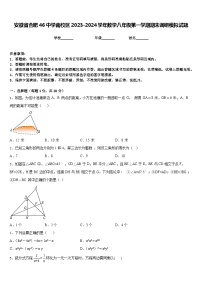 安徽省合肥46中学南校区2023-2024学年数学八年级第一学期期末调研模拟试题含答案